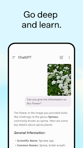 ChatGPT Pro Free Download 2025